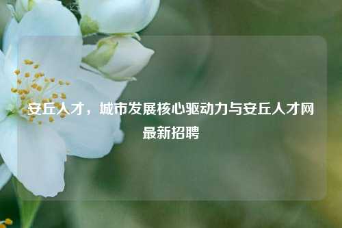 安丘人才,城市发展核心驱动力与安丘人才网最新招聘