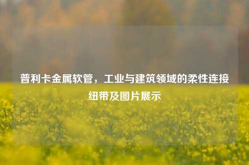 普利卡金属软管,工业与建筑领域的柔性连接纽带及图片展示