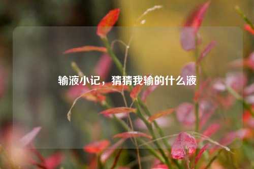 输液小记,猜猜我输的什么液