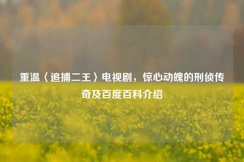 重温〈追捕二王〉电视剧,惊心动魄的刑侦传奇及百度百科介绍