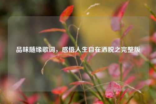 品味随缘歌词,感悟人生自在洒脱之完整版