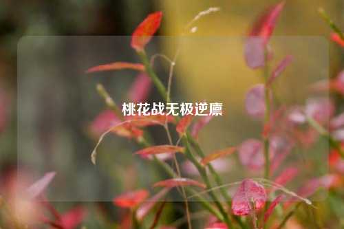桃花战无极逆廪