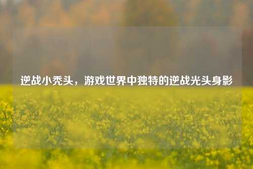 逆战小秃头,游戏世界中独特的逆战光头身影