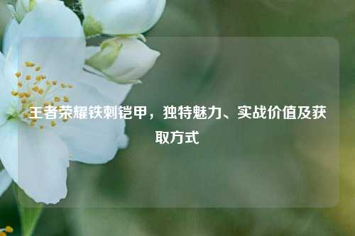王者荣耀铁刺铠甲，独特魅力、实战价值及获取方式