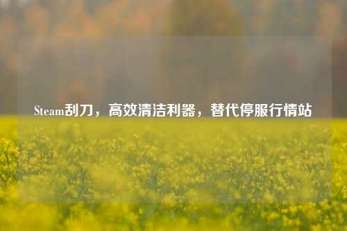 Steam刮刀，高效清洁利器，替代停服行情站