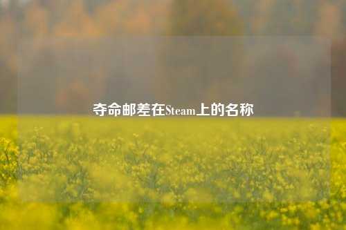 夺命邮差在Steam上的名称