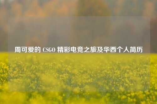 周可爱的 CSGO 精彩电竞之旅及华西个人简历