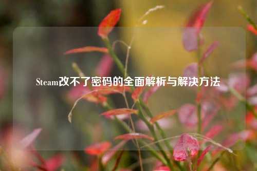 Steam改不了密码的全面解析与解决方法