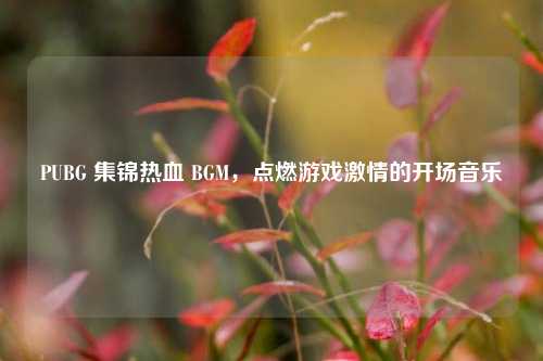 PUBG 集锦热血 BGM，点燃游戏激情的开场音乐