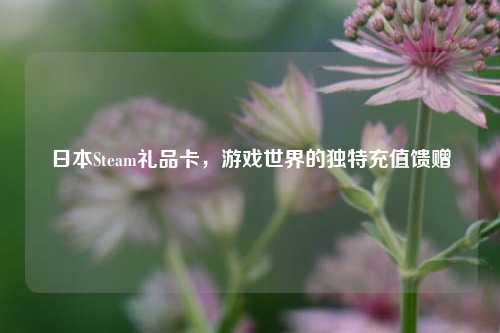 日本Steam礼品卡,游戏世界的独特充值馈赠