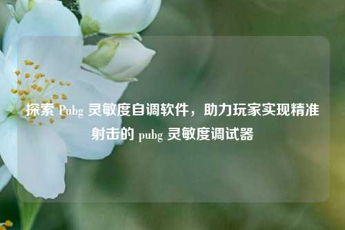探索 Pubg 灵敏度自调软件，助力玩家实现精准射击的 pubg 灵敏度调试器