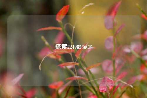 探索22498586CF