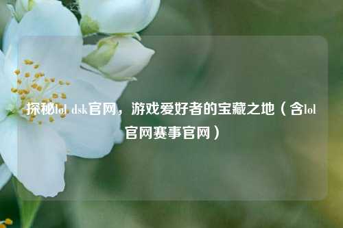 探秘lol dsk官网，游戏爱好者的宝藏之地（含lol官网赛事官网）
