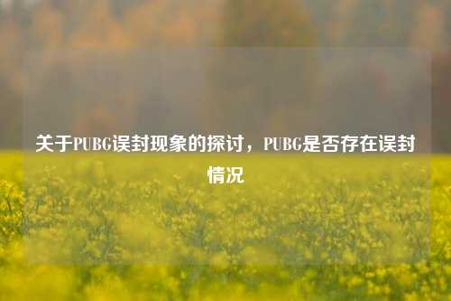 关于PUBG误封现象的探讨，PUBG是否存在误封情况