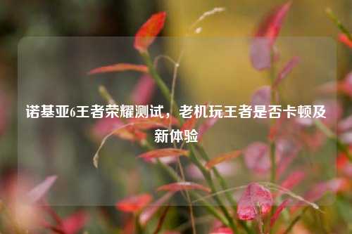 诺基亚6王者荣耀测试,老机玩王者是否卡顿及新体验