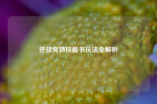 逆战宠物技能书玩法全解析