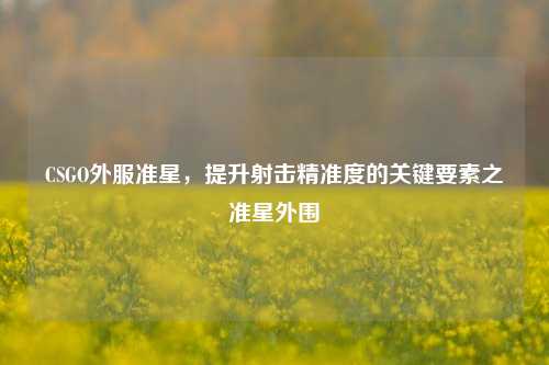 CSGO外服准星,提升射击精准度的关键要素之准星外围