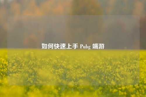 如何快速上手 Pubg 端游