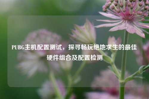 PUBG主机配置测试，探寻畅玩绝地求生的最佳硬件组合及配置检测