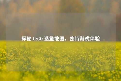 探秘 CSGO 鲨鱼地图,独特游戏体验
