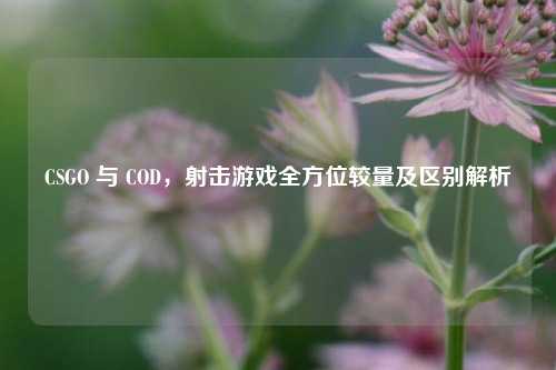 CSGO 与 COD，射击游戏全方位较量及区别解析