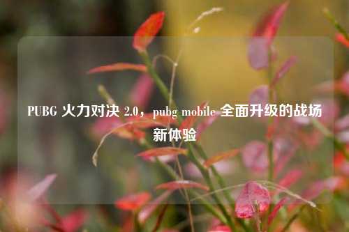 PUBG 火力对决 2.0，pubg mobile 全面升级的战场新体验