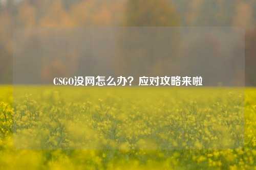 CSGO没网怎么办？应对攻略来啦