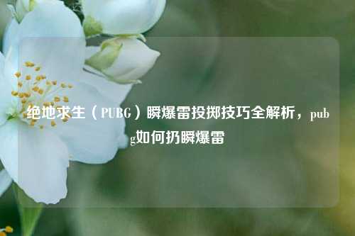 绝地求生(PUBG)瞬爆雷投掷技巧全解析,pubg如何扔瞬爆雷