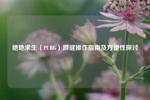 绝地求生（PUBG）蹲键操作指南及方便性探讨
