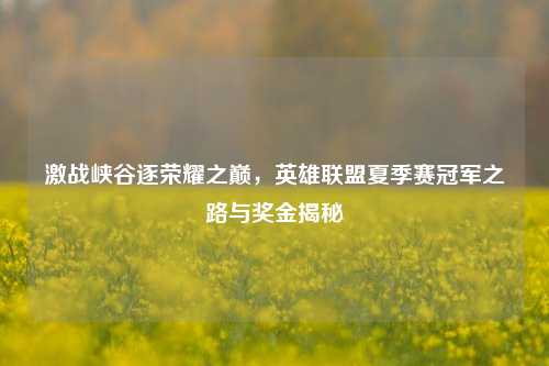 激战峡谷逐荣耀之巅，英雄联盟夏季赛冠军之路与奖金揭秘