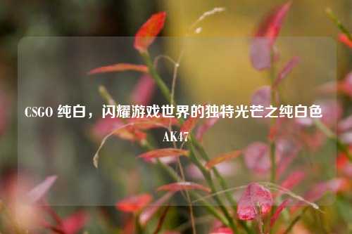 CSGO 纯白,闪耀游戏世界的独特光芒之纯白色 AK47