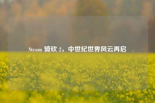 Steam 骑砍 2,中世纪世界风云再启