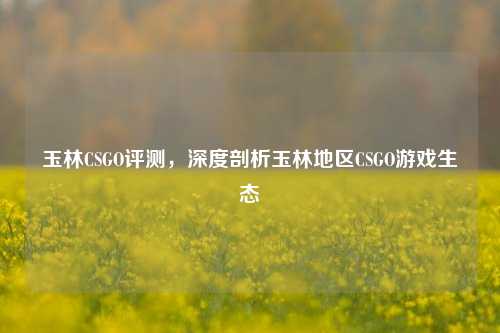 玉林CSGO评测，深度剖析玉林地区CSGO游戏生态