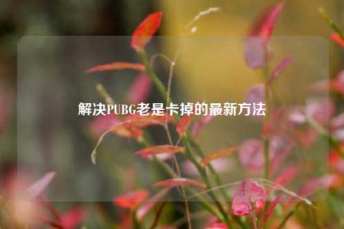 解决PUBG老是卡掉的最新方法