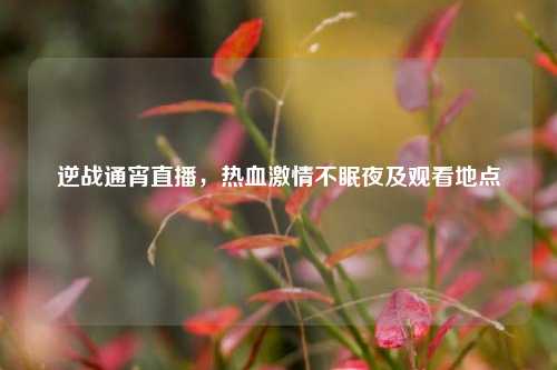 逆战通宵直播，热血激情不眠夜及观看地点