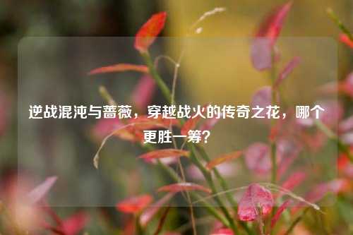 逆战混沌与蔷薇,穿越战火的传奇之花,哪个更胜一筹?