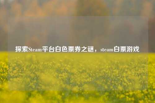 探索Steam平台白色票券之谜,steam白票游戏