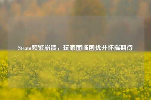 Steam频繁崩溃，玩家面临困扰并怀揣期待