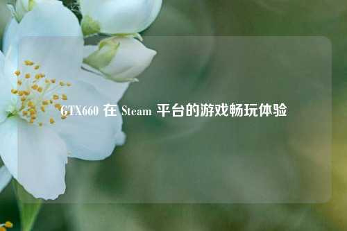 GTX660 在 Steam 平台的游戏畅玩体验