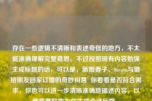 存在一些逻辑不清晰和表述奇怪的地方,不太能准确理解完整意思。不过按照现有内容勉强生成标题的话,可以是,新婚妻子、Steam与借给朋友回家订婚的奇妙纠葛 你看看是否符合需求,你也可以进一步清晰准确地描述内容,以便我更好地为你生成合适标题 。