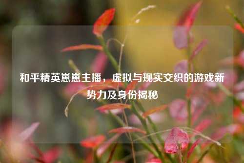 和平精英崽崽主播，虚拟与现实交织的游戏新势力及身份揭秘