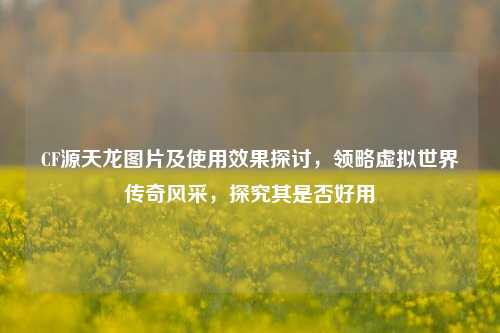 CF源天龙图片及使用效果探讨,领略虚拟世界传奇风采,探究其是否好用