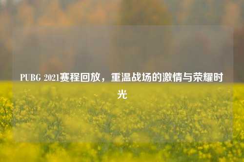 PUBG 2021赛程回放,重温战场的激情与荣耀时光