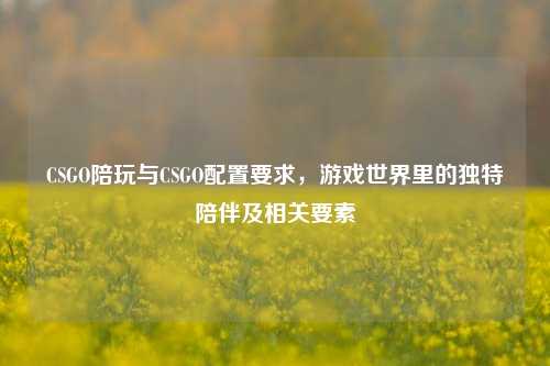 CSGO陪玩与CSGO配置要求,游戏世界里的独特陪伴及相关要素