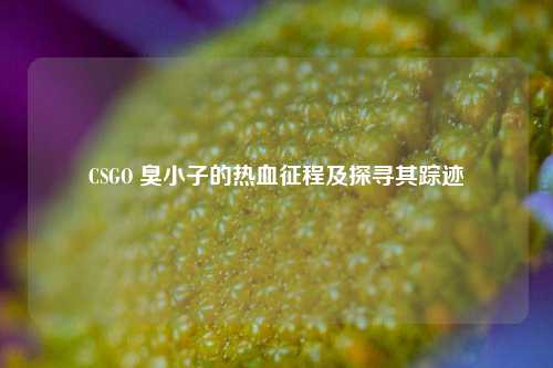 CSGO 臭小子的热血征程及探寻其踪迹