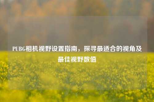 PUBG相机视野设置指南，探寻最适合的视角及最佳视野数值
