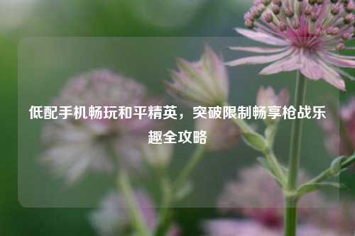 低配手机畅玩和平精英，突破限制畅享枪战乐趣全攻略