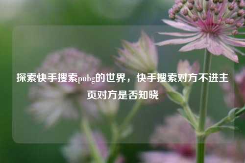 探索快手搜索pubg的世界，快手搜索对方不进主页对方是否知晓