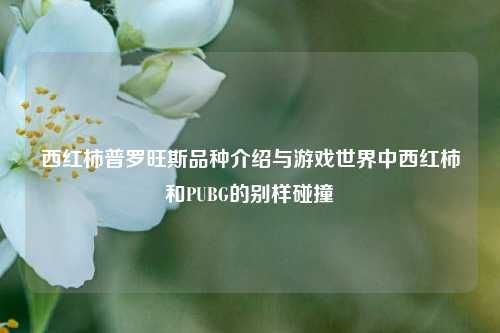 西红柿普罗旺斯品种介绍与游戏世界中西红柿和PUBG的别样碰撞