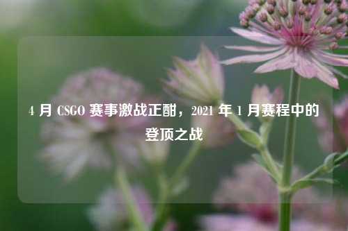 4 月 CSGO 赛事激战正酣,2021 年 1 月赛程中的登顶之战